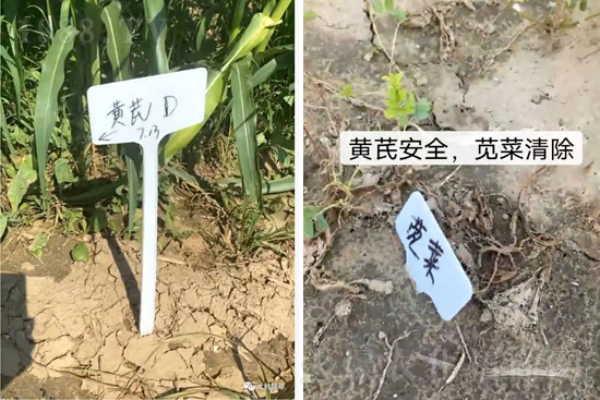 �α�2̖¡��������������죬�ɳ��{�˵��S�γ��݄������ݸ��V����ȫ����