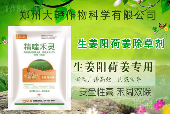 ��ꖺɽ���ô���ݣ����ش�ʲô���݄�����ꖺɽ����ݷ�����ע�����