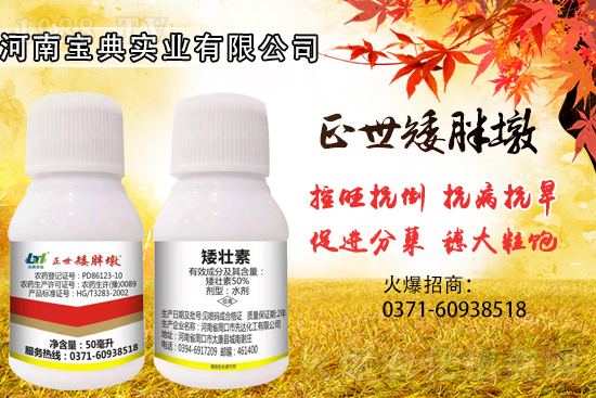 С����������(sh��)���ɓ������I(y��)������Ч��������