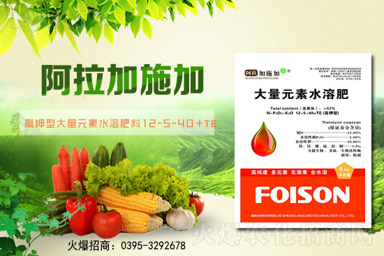 2月6日全國(guó)小麥報(bào)價(jià)!小麥價(jià)格突破1.57元/斤