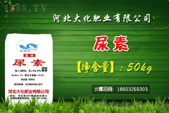 �t��������������Xһ�����Nֲǰ����Σ�