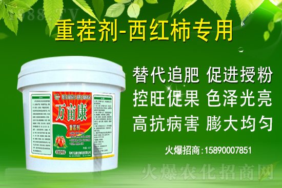 ��ʲô������ҽ��h�������@�}�������h��������