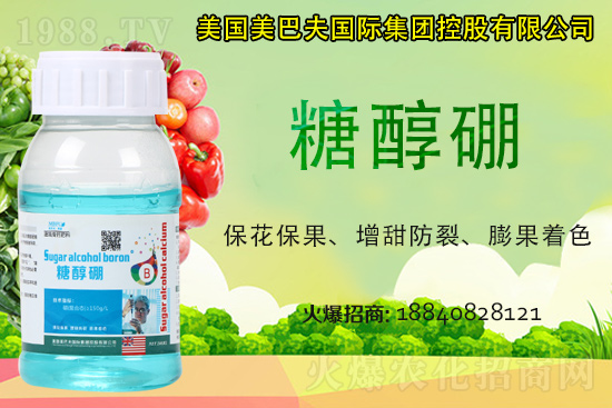 ���յ��ȶ����Xһ����2021�굾�ȃr(ji��)���Ƿ�߀��(hu��)�q��