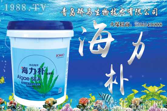 ѩ����r(ji��)������Xһ�ã�2021��Nֲѩ����ٍ�X����