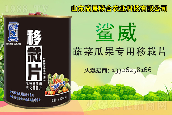 �����������������L(zh��ng)������...���߲˶�ֲ�ؿ�