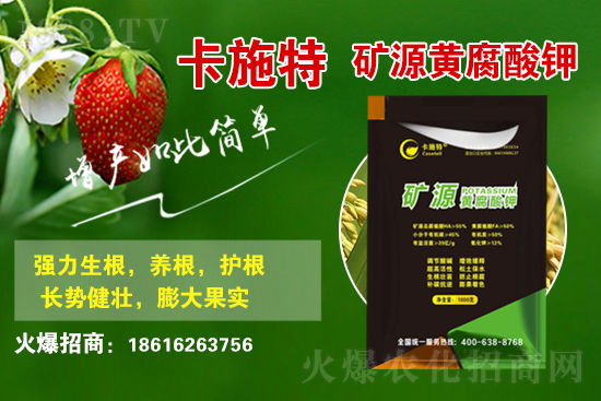 ���ջ����r������Xһ�2021��3��19�ջ����r������