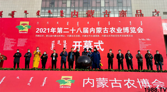 ��28�Ã�(n��i)�ɹ��r(n��ng)����