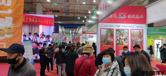 ��28�Ã�(n��i)�ɹ��r(n��ng)����