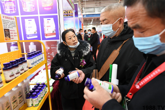 ��28�Ã�(n��i)�ɹ��r(n��ng)����