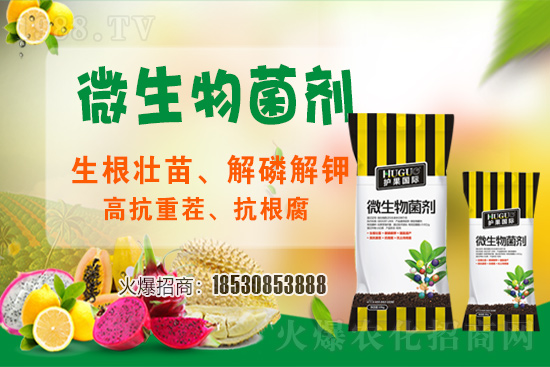 ��ݮ�����F(xi��n)���l���l(f��)������ҪԴ��ʲô������