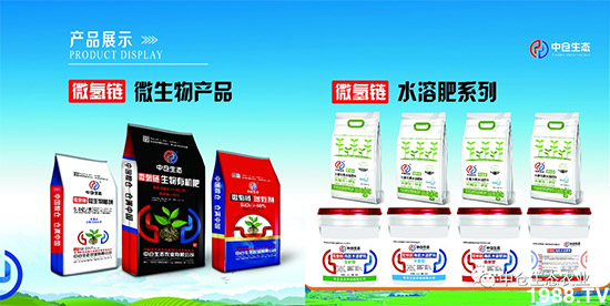 ���˟oζ���ϲ����������㡱�ǻ����ǵĵ���