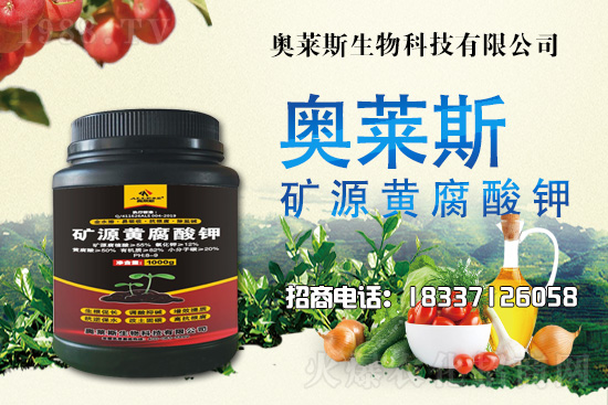 �`֥���a(ch��n)����(ji��)��ʲô�r(sh��)�����`֥���϶�ľ�������༼�g(sh��)��