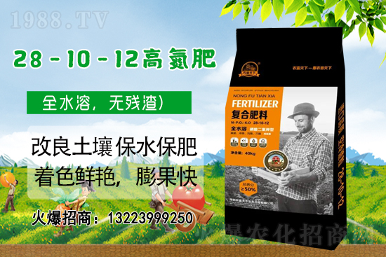 �����������������A���r(n��ng)�������ٺ�1988.TV��(chu��ng)���x����