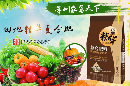 �����������������A���r(n��ng)�������ٺ�1988.TV��(chu��ng)���x����