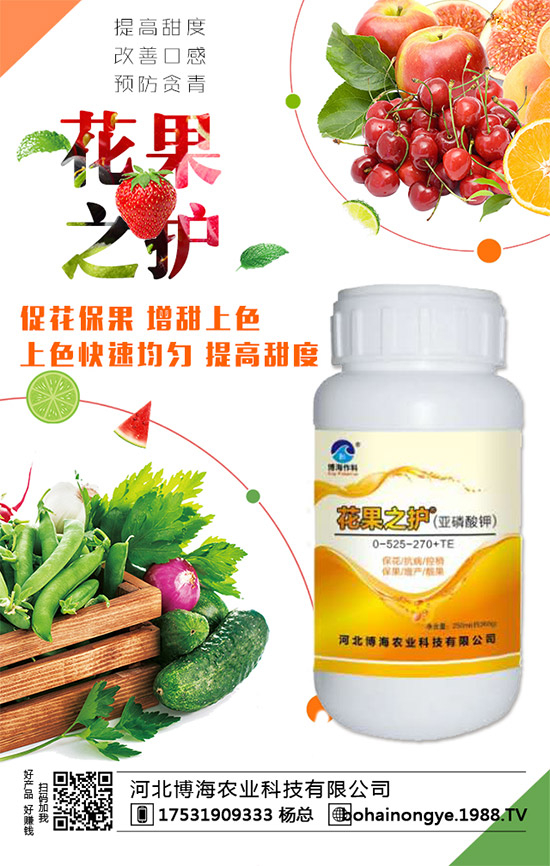 �����r(n��ng)���ٴ����v���r(n��ng)�����̾W(w��ng)����(sh��)�F(xi��n)��I(y��)�°l(f��)չ��