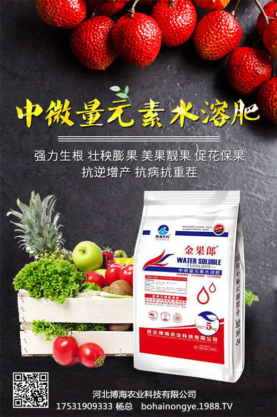 �����r(n��ng)���ٴ����v���r(n��ng)�����̾W(w��ng)����(sh��)�F(xi��n)��I(y��)�°l(f��)չ��