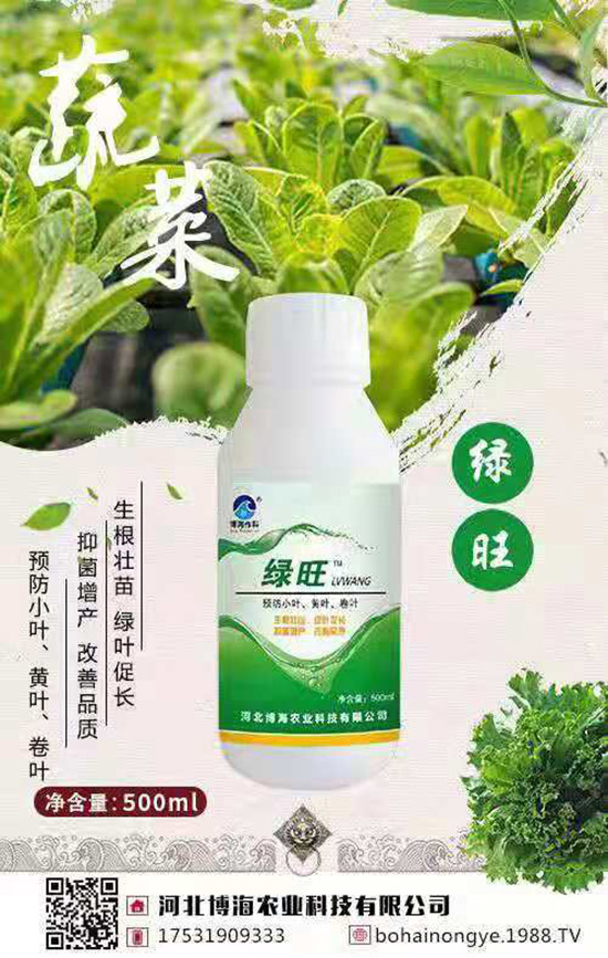 �����r(n��ng)���ٴ����v���r(n��ng)�����̾W(w��ng)����(sh��)�F(xi��n)��I(y��)�°l(f��)չ��