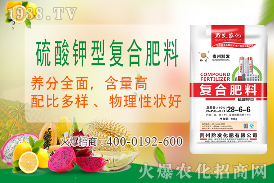 ǭ�l(f��)�ʘI(y��)�ٶȔy��1988.TV���y�ִ����������E��