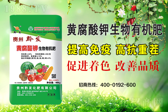 ǭ�l(f��)�ʘI(y��)�ٶȔy��1988.TV���y�ִ����������E��