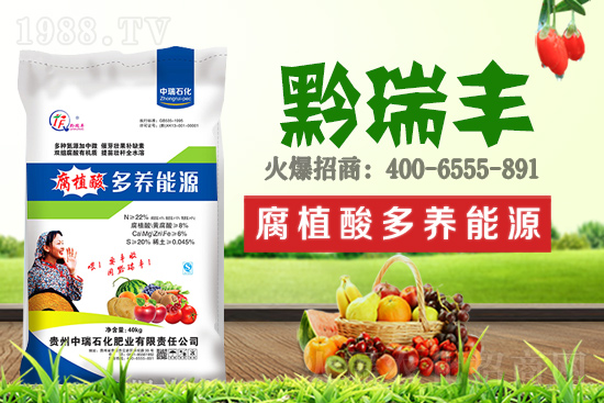     ����ʯ���ʘI(y��)�𱬁��u���ٺ����r(n��ng)�����̾W(w��ng)���_��(chu��ng)���x����