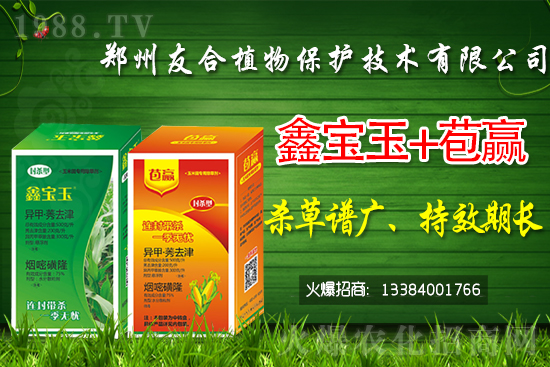 2021��7��13�ռ��������x���r���߄�