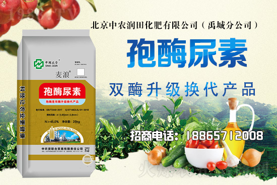 ��(z��i)�����Ｐ�r��ˮɢ�����ƌW(xu��)�������ò��x������