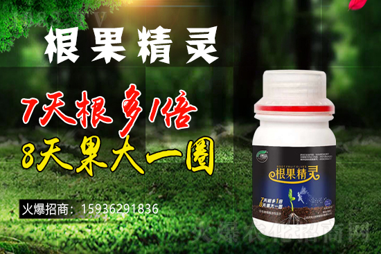 ��ɫ�и��m���m(x��)1988.TV�����\�����°l(f��)չ��