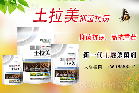 ��������ķ�ٺ�1988.TV���_���W(w��ng)�j(lu��)������ģʽ��