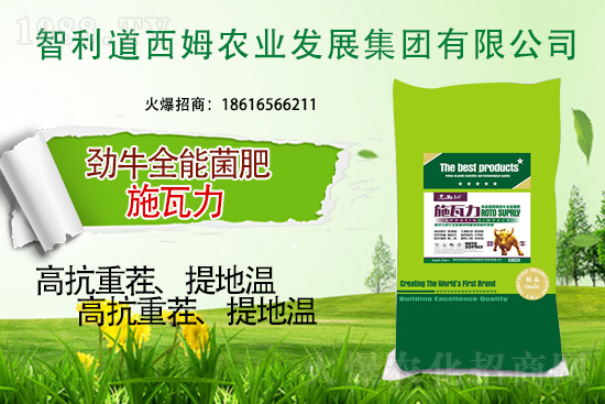 ��������ķ�ٺ�1988.TV���_���W(w��ng)�j(lu��)������ģʽ��