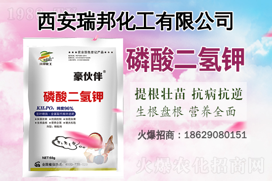 ⛷ʃr��߀���ٝq����7��31�ո���⛷ʃr������һ�[