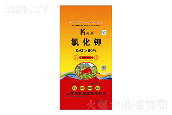 ����⛷ʃr���Ј����������7��8�գ�