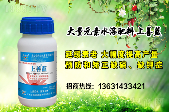 �V���������r(n��ng)�ٶȔy��1988.TV���y�ֹ���(chu��ng)��(zh��n)����