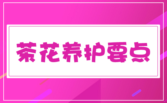 �軨�B(y��ng)�oҪ�c