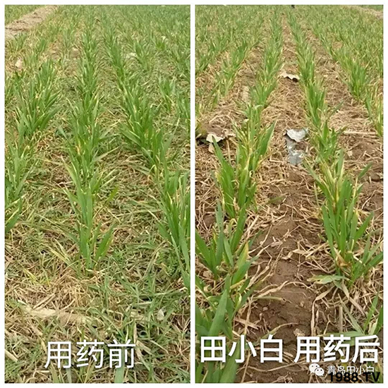 С���s������(ji��)��(ji��)�����E�ɞ�(z��i)����ô�k��С�����݄���ô�x