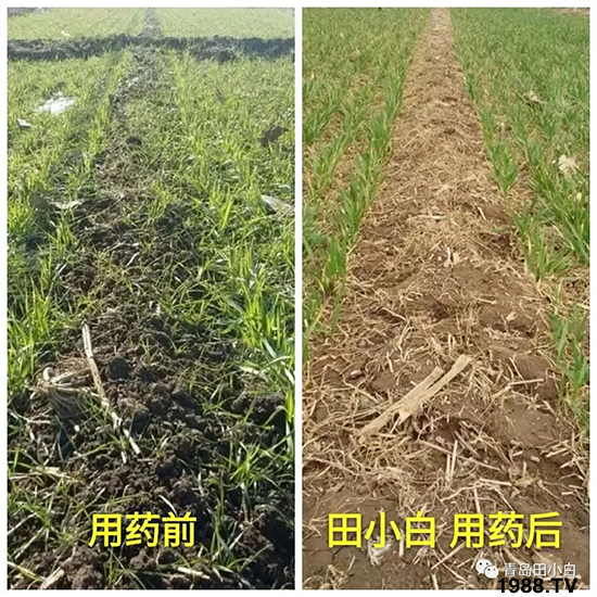 С���s������(ji��)��(ji��)�����E�ɞ�(z��i)����ô�k��С�����݄���ô�x