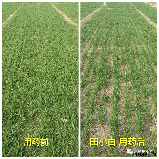 С���s�ݣ���(ji��)��(ji��)�����E�ɞ�(z��i)����ô�k��С�����݄���ô�x