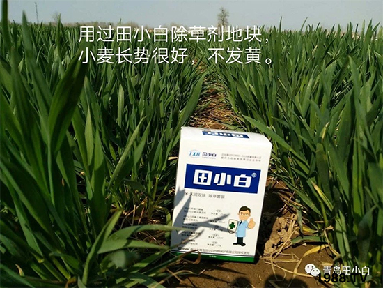 С���s������(ji��)��(ji��)�����E�ɞ�(z��i)����ô�k��С�����݄���ô�x