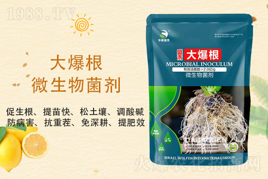 ���@�r��ַ�(w��n)��2021��9��3�����@�r���������