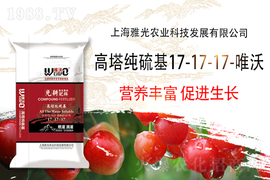 2022-2-11��(gu��)��(n��i)��(f��)�Ϸʃr(ji��)�������߄�(sh��)