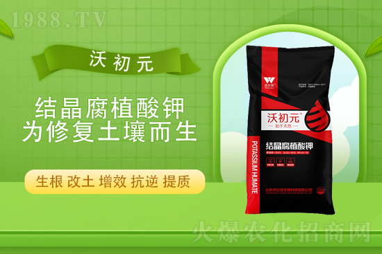 ⛷ʃr(ji��)������Xһ�������Շ���(n��i)⛷��Ј���(b��o)�r(ji��)