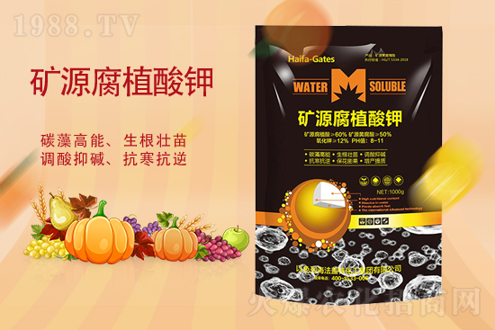 ⛷ʃr(ji��)�����ٝq����2��19�ո���⛷ʃr(ji��)��