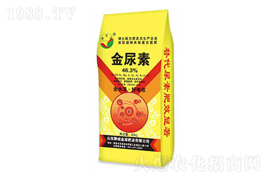 ���؃r���ϝq��2022.3.11���؃r������һ�[