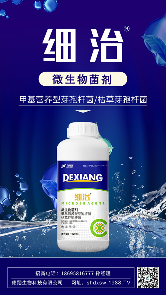 如何有效防治柑橘瘡痂?柑橘瘡痂病為害及防治藥劑推薦!