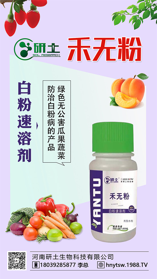 葡萄白粉病即將爆發(fā)!如何巧妙分辨白粉病?