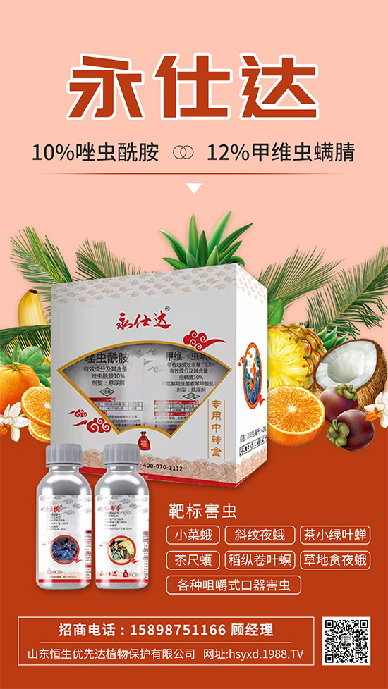 С�˶��η����y��С�˶�Σ���Y����δ�ʩ��