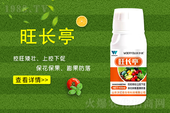 ʲô���S�����L���S�����L�ķ��ش�ʩ