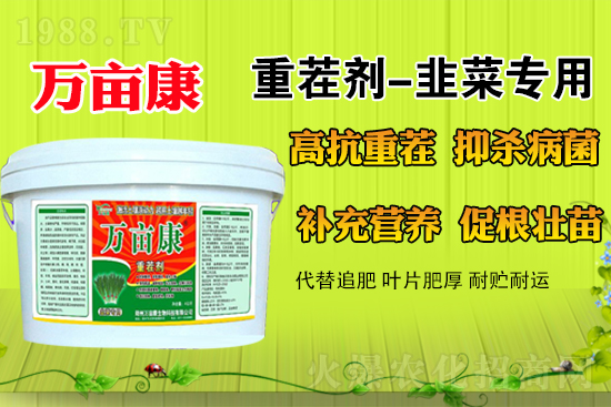 �²�ʲô�r(sh��)��N�����m������¶�ؾ²˹���������ע�����(xi��ng)