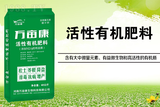 �󶹸߮aʩʲô�������ʩ������Ч��