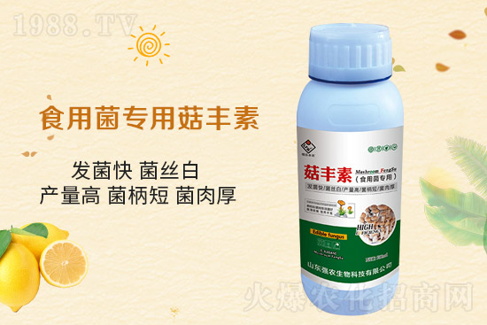 ƽ������Ҫ�c(di��n)����Ҫע����Щ���(xi��ng)��