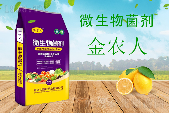 С���ƌW(xu��)����������������ԓ��ô����